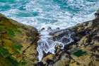 Cape Arago State Park, Coos County, Oregon, USA. Pacific Ocean meets rocks on the rugged coastline. Art Print